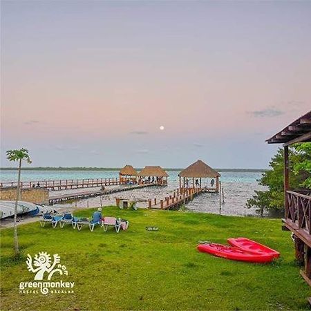 Green Monkey Hostel Bacalar Eksteriør bilde