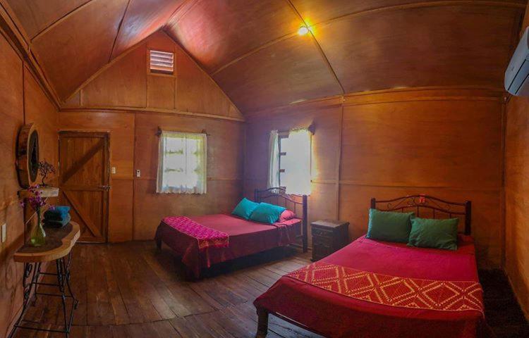 Green Monkey Hostel Bacalar Eksteriør bilde